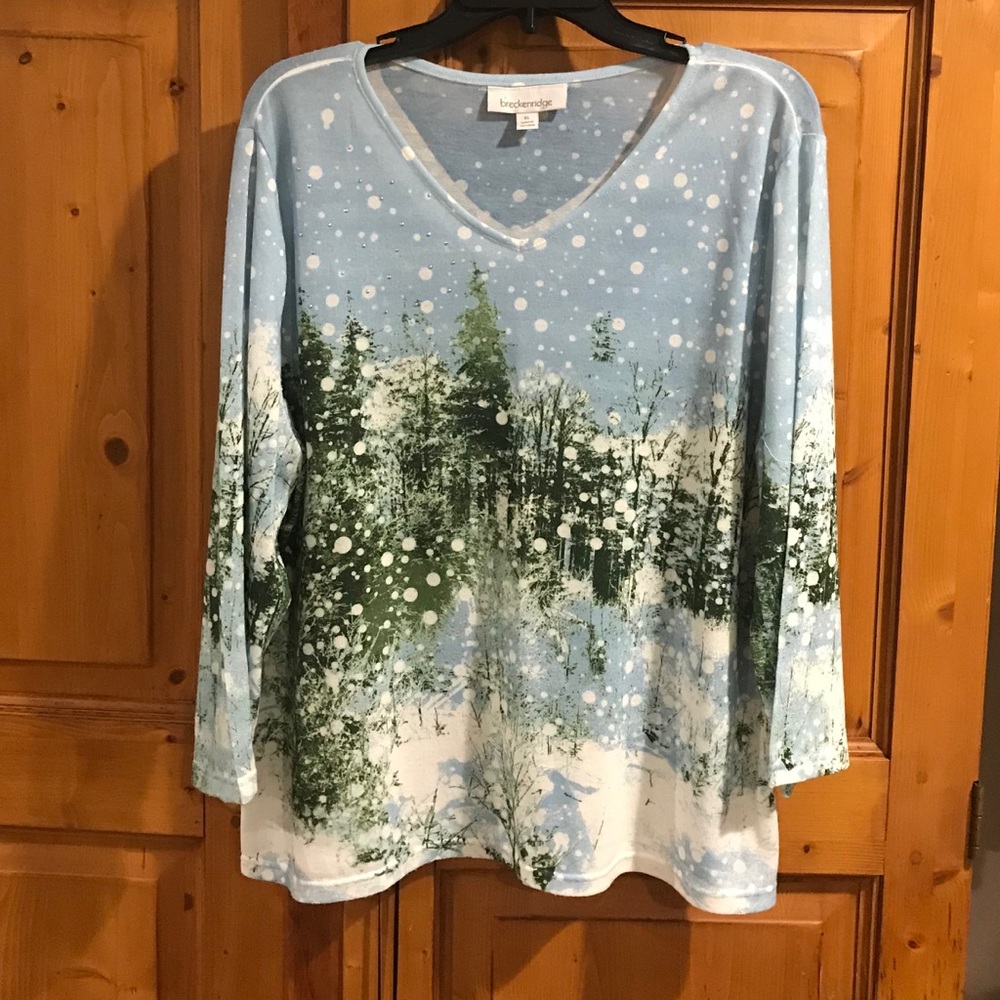 Wintertime scene long sleeve top XL